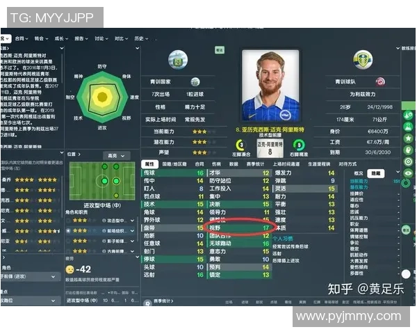 12号球服足球巨星的传奇之路与赛场风采解析