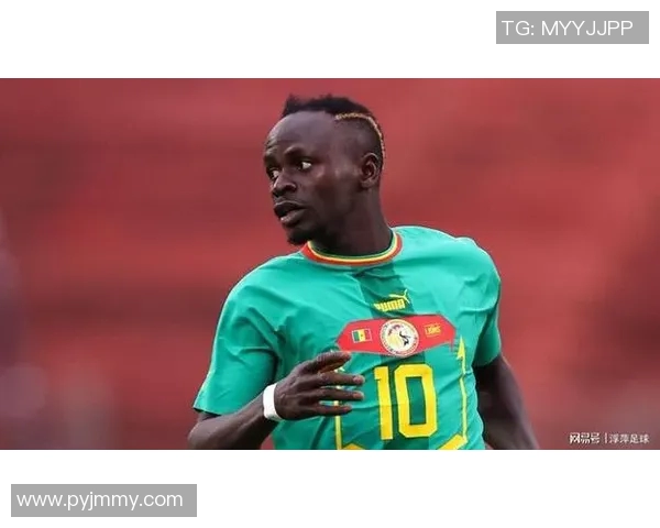 南非足球现役球星风采展示与未来潜力分析