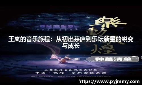 王岚的音乐旅程：从初出茅庐到乐坛新星的蜕变与成长