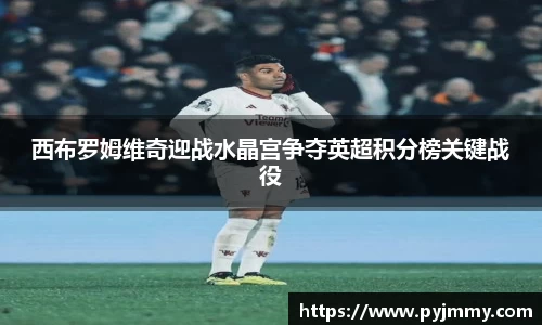 西布罗姆维奇迎战水晶宫争夺英超积分榜关键战役